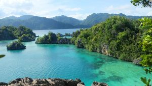 Sulawesi