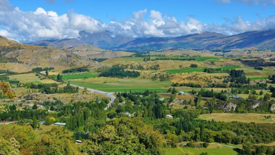 Découvrir la Nouvelle-Zélande : un paradis de beautés naturelles et de richesse culturelle