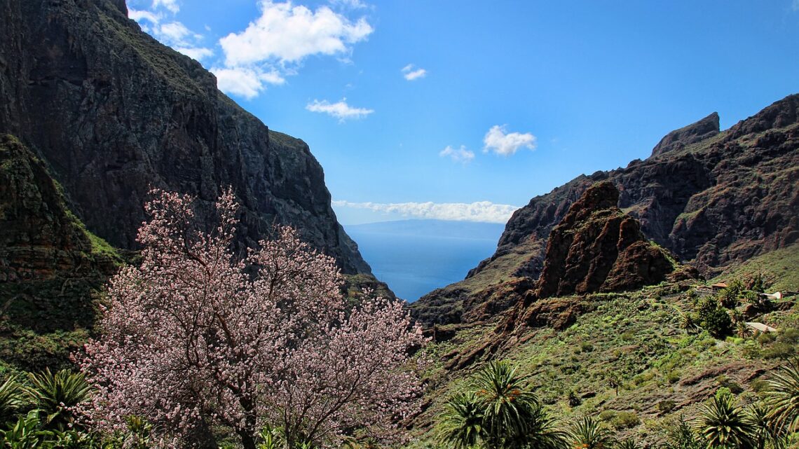 Explorer Masca : le « Machu Picchu espagnol » dans les montagnes de Tenerife